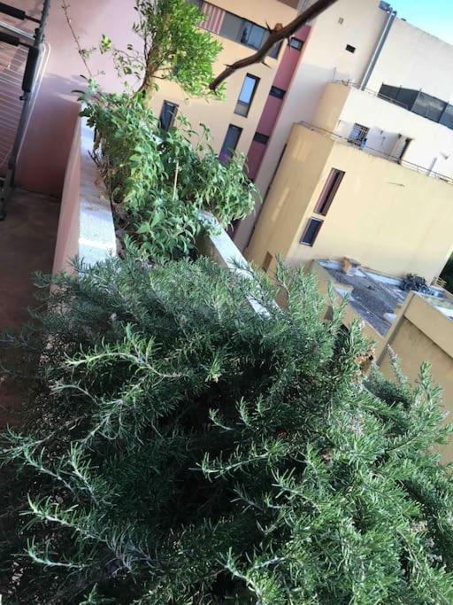 Flc - 3 Bedrooms -max 10 Guests - Gare St Charles 1,5km Hyper Center Appartement Marseille